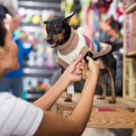 Pets and Pet Care